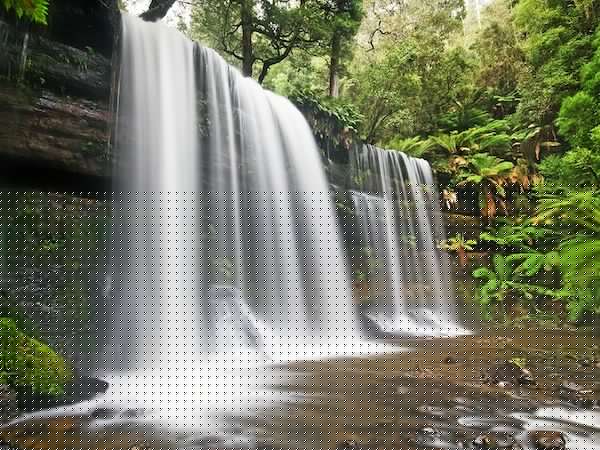 Australia bucket list: 10 must-do experiences