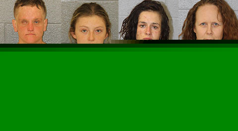 Mecklenburg County Mugshots July 28th