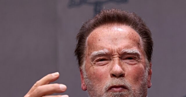Pope, Schwarzenegger Join Forces: Urge Catholics to 'Terminate' Climate Change