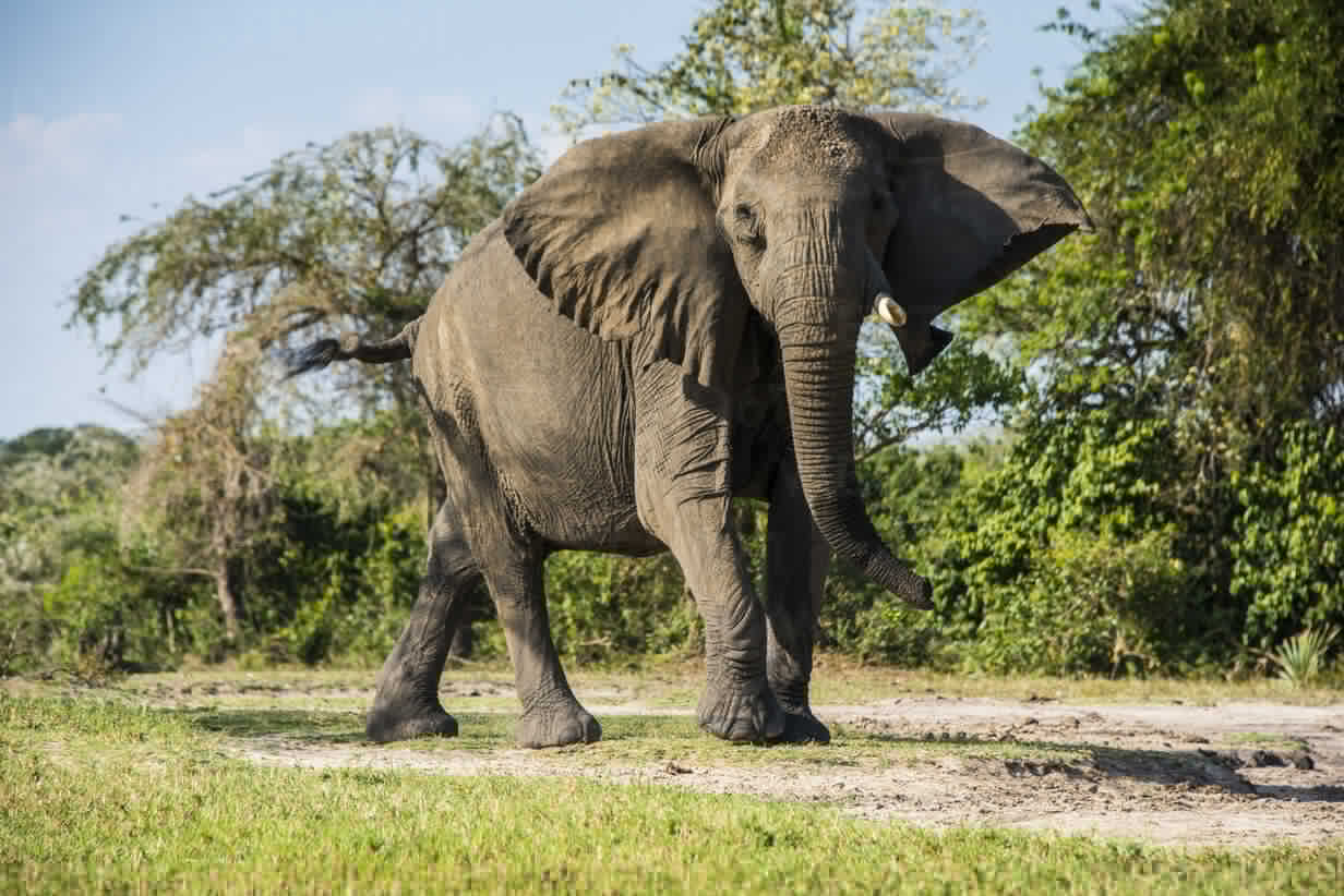 African Travel Inc. Celebrates 50 Years with Launch of 2026 Digital Brochure Showcasing Expanded Travel Experiences