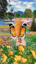 Corn Dog Cat - Corn Dog Cat Explosion GIF