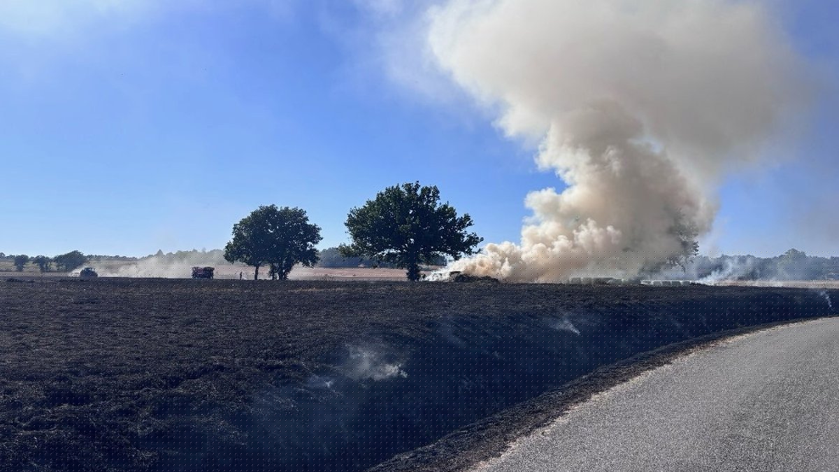 Incendie dans le Gers : une dizaine d'hectares brûlés, une maison menacée et deux habitants déplacés à la salle des fêtes du village