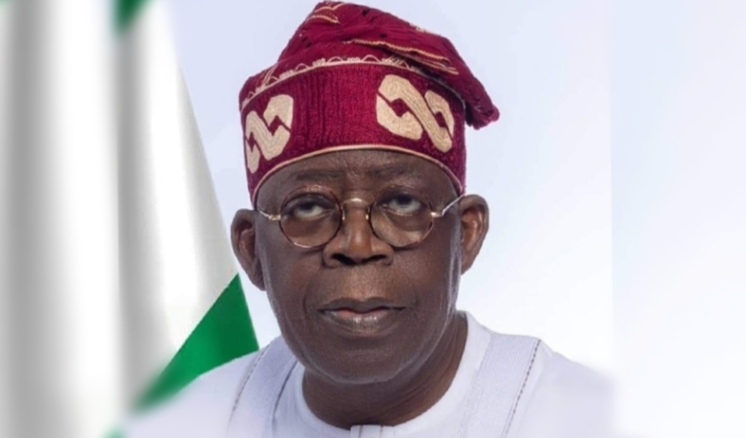 Nigeria under fully authoritarian regime – Report