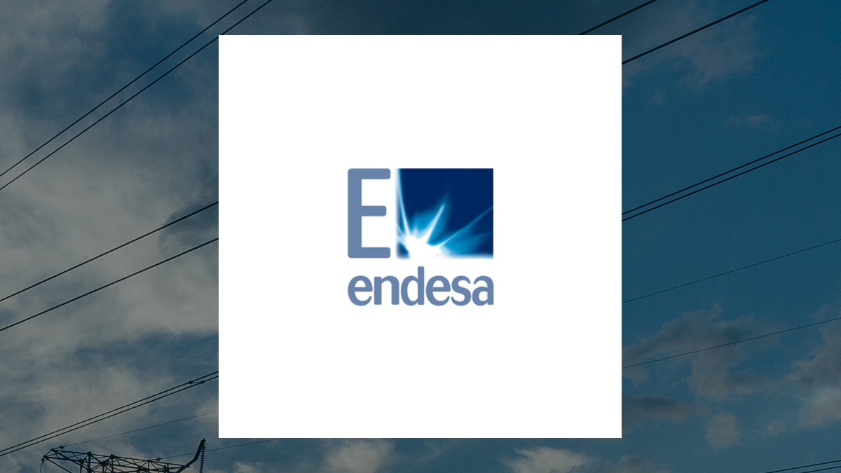 Endesa (ELEZF) and The Competition Head to Head Contrast