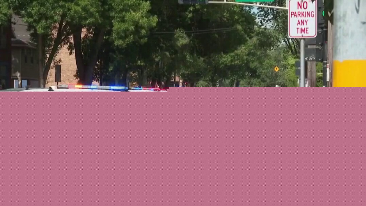 Madison police shooting sparks calls for reform