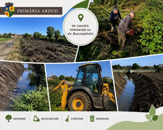 IMPLICARE. . Pregătiri pentru viitoarea Grădină Urbană din Ardud. Primăria desfășoară ample lucrări de igienizare și amenajare