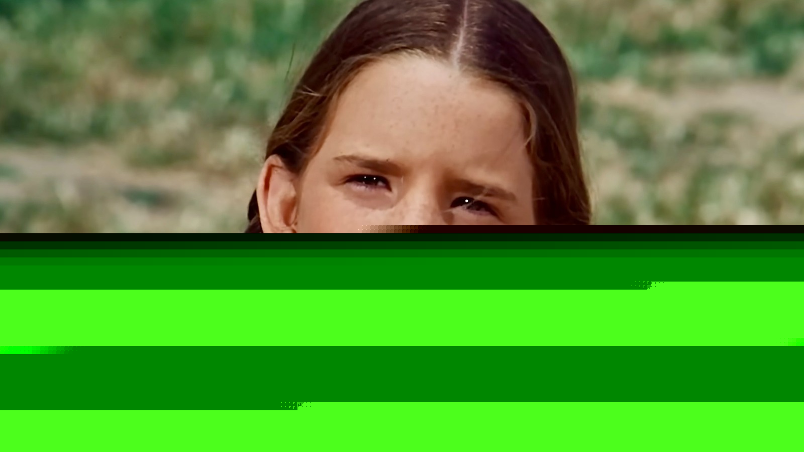 Melissa Gilbert's Favorite Little House On The Prairie Storyline Is An Epic Tearjerker