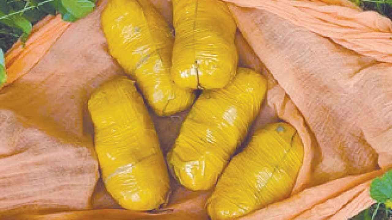Punjab cops foil cross-border smuggling, 2 kg heroin seized