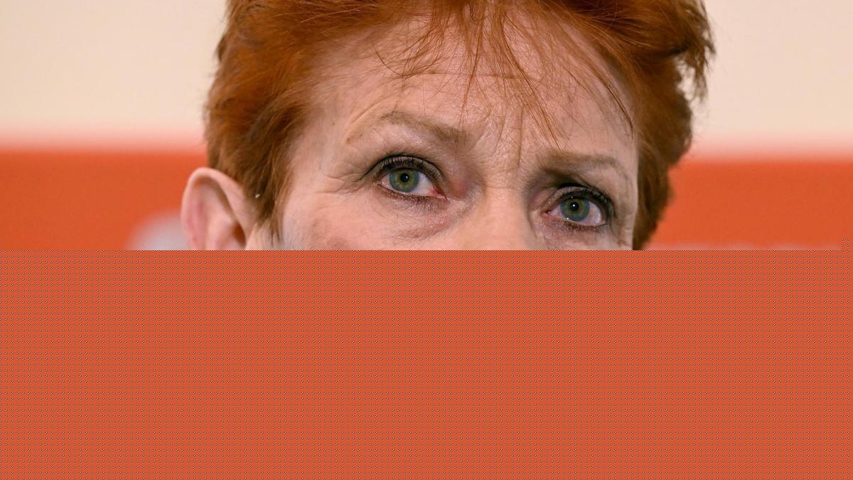 One Nation’s Pauline Hanson to introduce Foreign Terrorist Fighters Bill to parliament