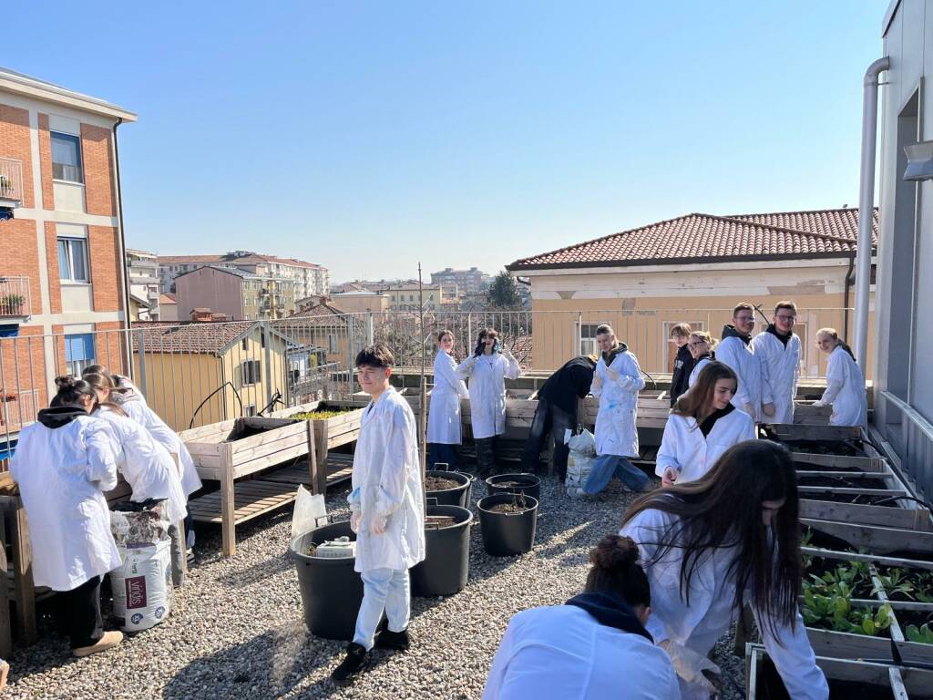 Il Liceo artistico Fantoni porta l’arte sostenibile in Europa con “Plant&amp;Paint”