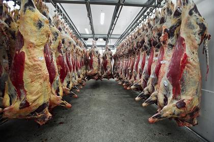 Cattle futures rise on tight supply, strong beef prices - CME