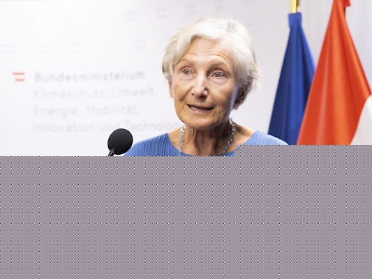 Griss will Vorwürfe gegen SOS-Kinderdorf "gründlich" klären