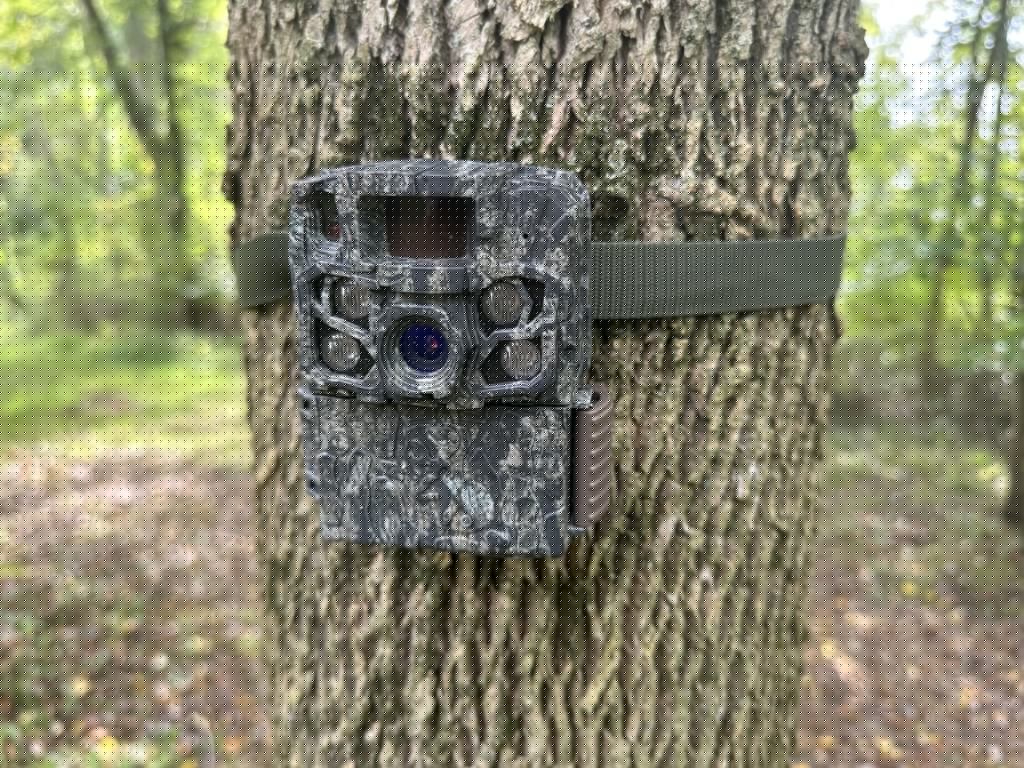 Outdoors column: On the trail of trail cameras