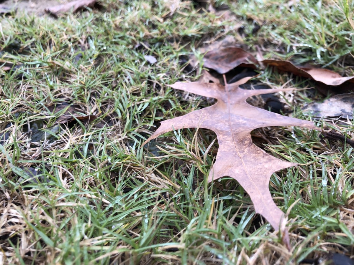 Your Mississippi forecast for Friday, October 3