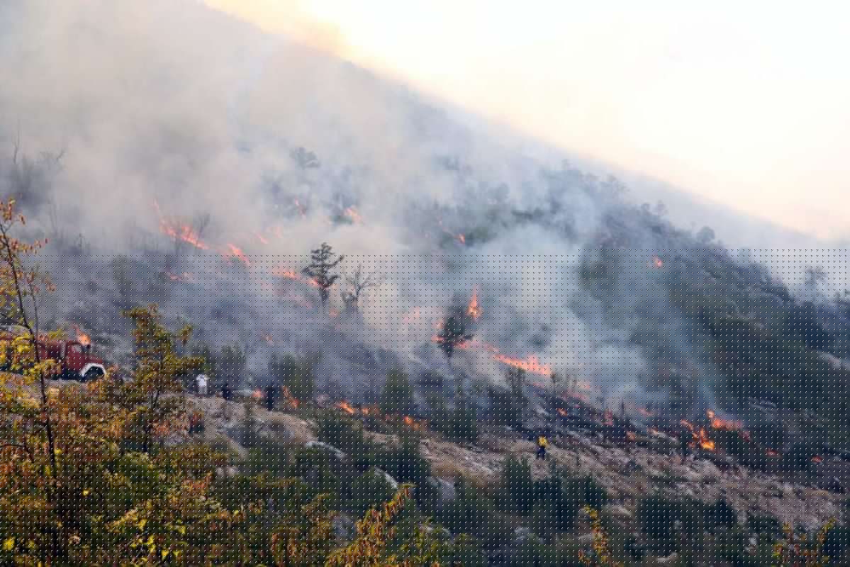 Numerous Fires recorded in BiH, Firefighters still on the Ground near Konjic