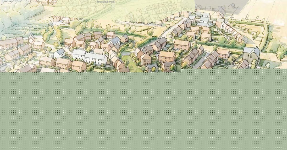 Hundreds of homes to be built next to 'irreplaceable habitat' woodland
