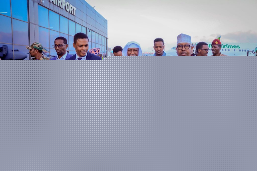 Fanaankii Sulfa ee noqday Wadaad oo dalka dib ugu soo laabtay