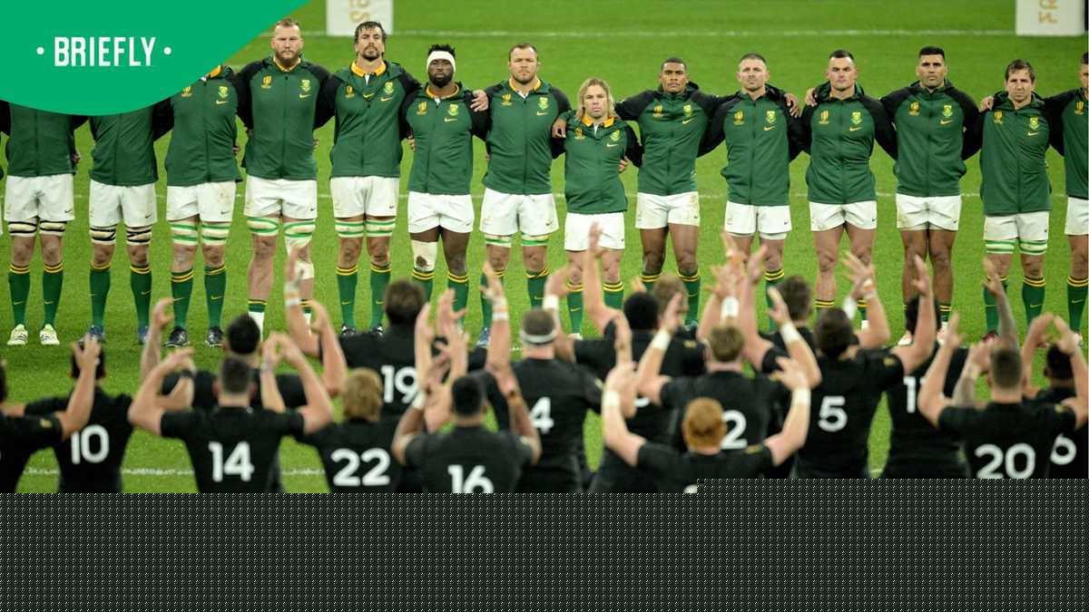 Springbok fans warned as All Blacks target statement series win