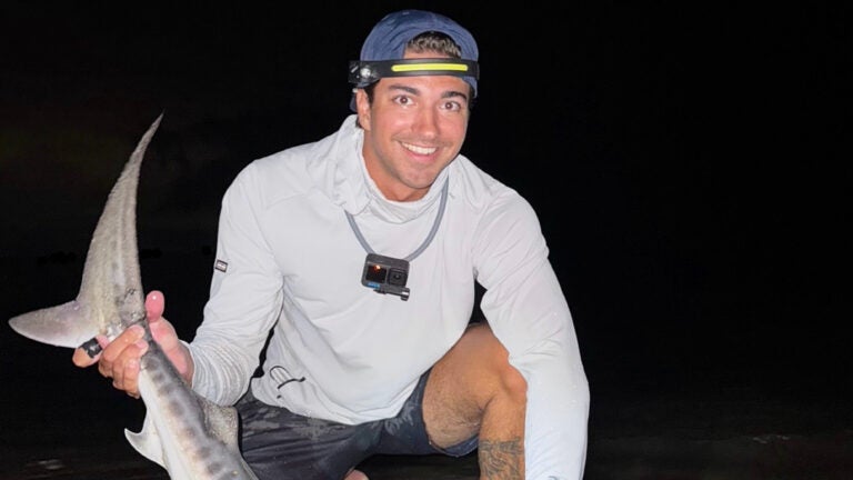 Tiger shark caught off Massachusetts could be sign of warming waters