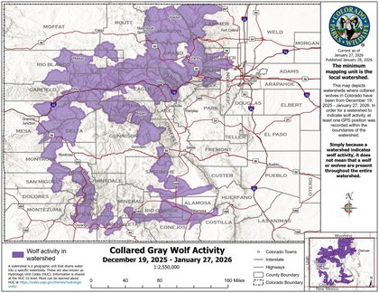 Map shows the far-flung places Colorado’s wolves traveled in the past month