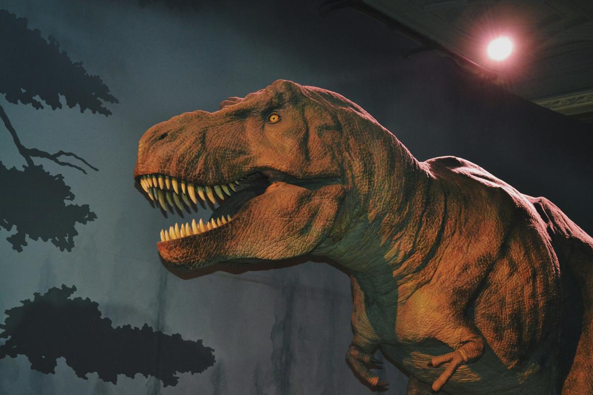 Panhandle-Plains Dino Day Returns With Fun for All