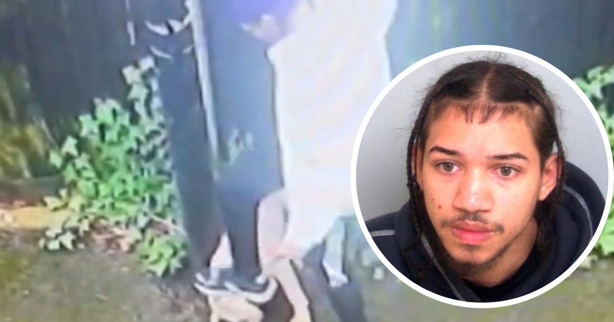Vile Brentwood drug dealer filmed kicking and stepping on pet puppy