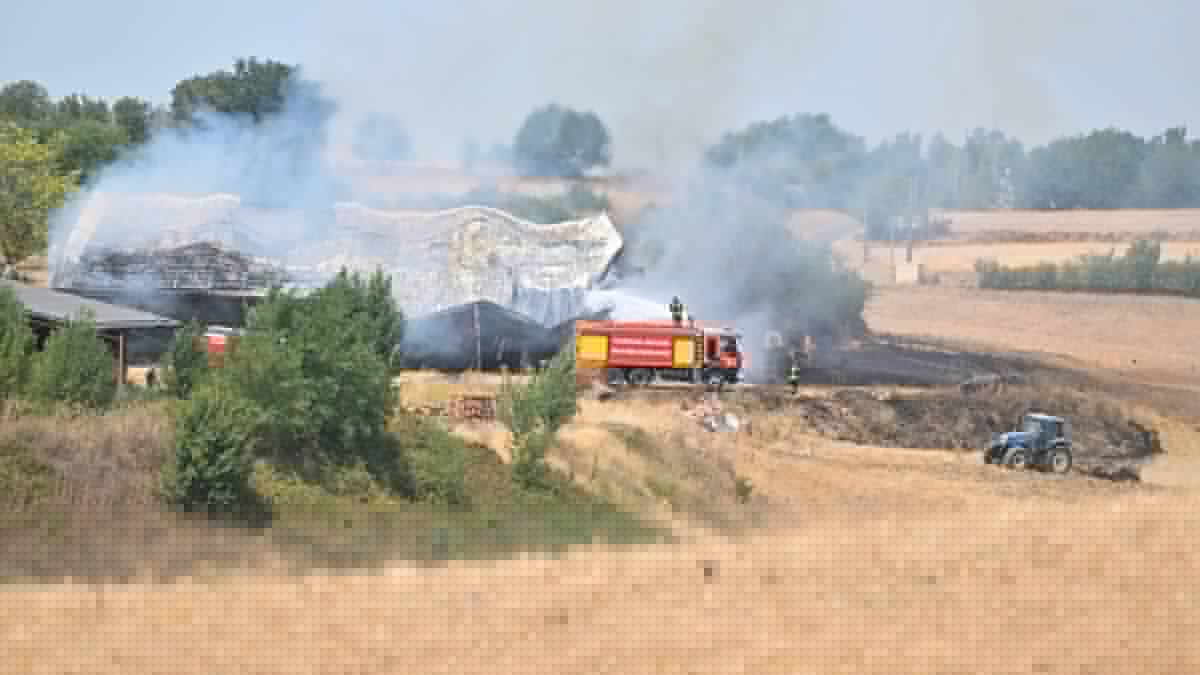 Incendies : plus de 140 mineurs ont été arrêtés depuis le début de l'été... Que risquent les parents, que certains voudraient "faire payer" pour les actes de leurs enfants ?