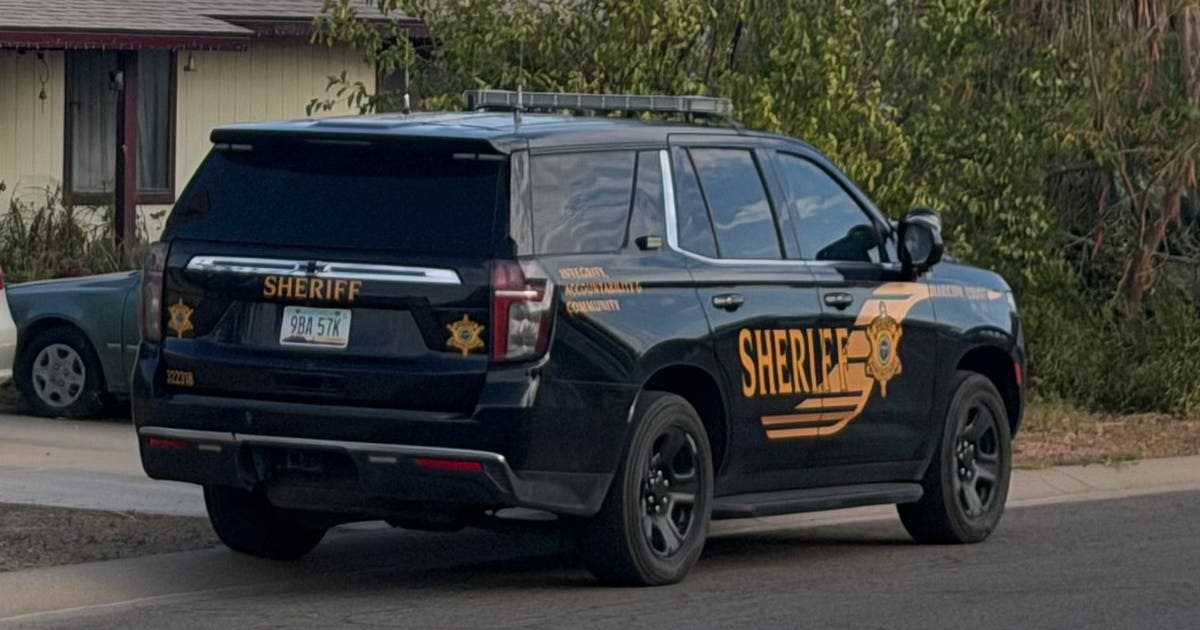 Dead cats found at a home as Maricopa County Sheriff's Office investigates