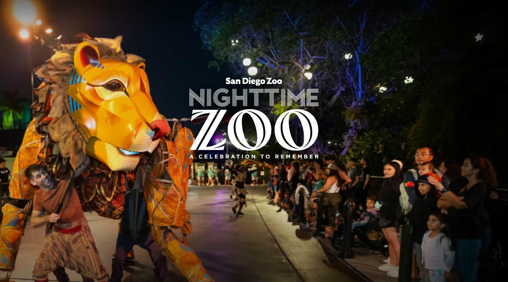 San Diego Nighttime Zoo será reemplazado por un festival de verano a partir de 2027