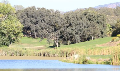 Golfers battle sandy greens, share laughs in team event