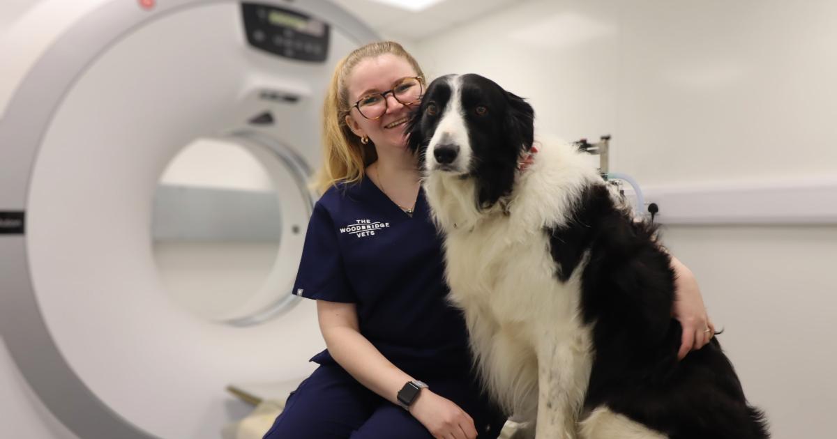 Award-winning Suffolk vet shares the secret to its success