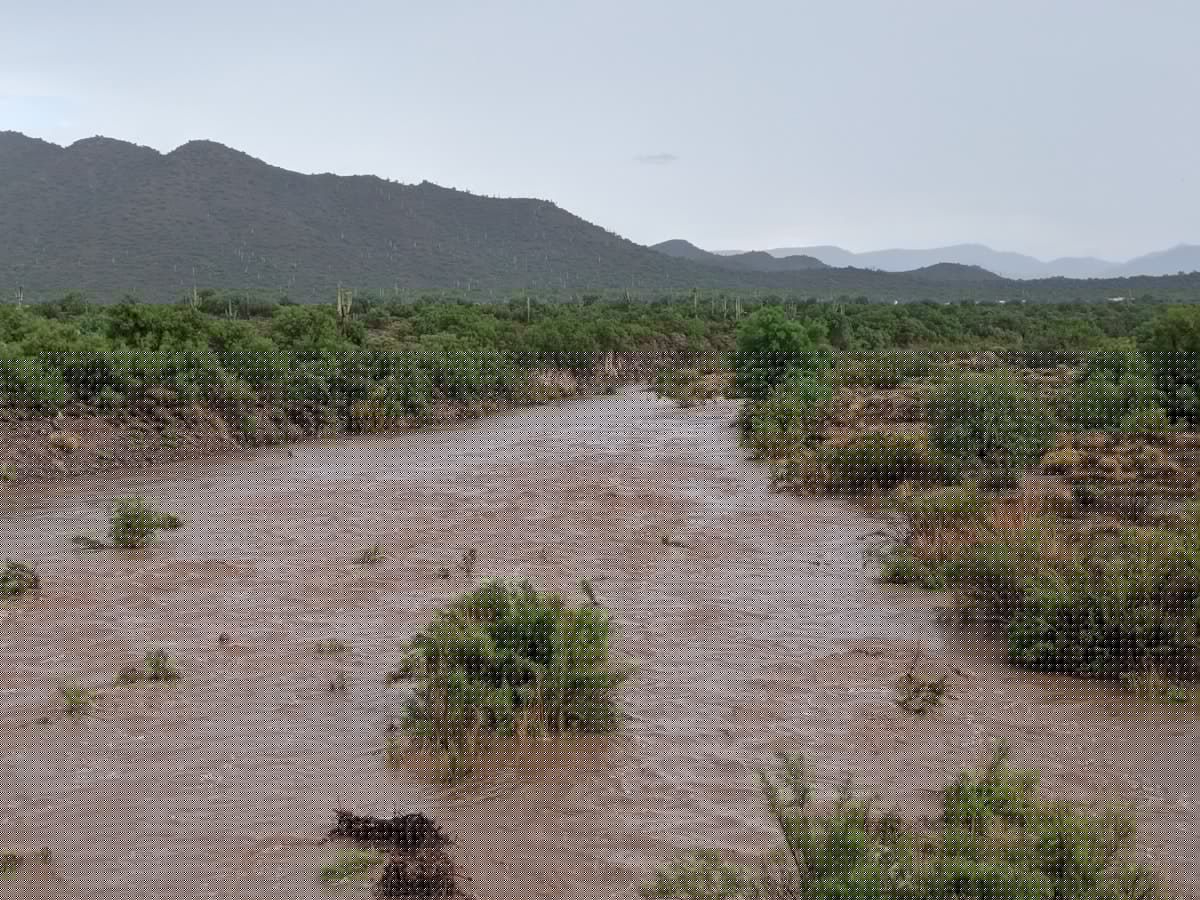 Don't Let Up Your Guard: Heavy Rain and Gusty Winds Still Likely