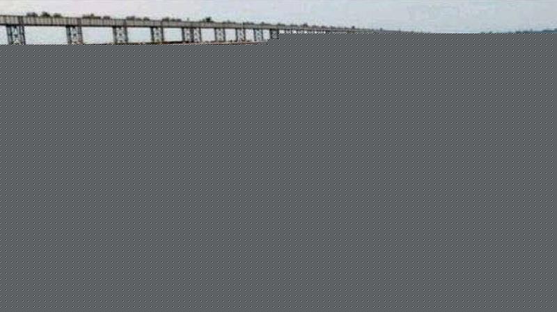 Odisha Floods: 1.76 Lakh Evacuated in North; Mahanadi Basin Braces for Deluge