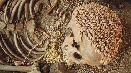 Stone Age teenager was mauled by a bear 28,000 years ago, skeletal analysis confirms