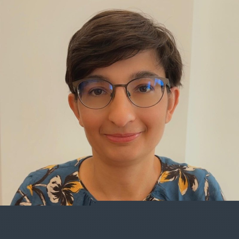 Dosarul ROBOR. Georgiana Murgulescu, Consiliul Patronatelor Bancare din România:  Întrebarea de 700 de milioane care nu a fost pusă sau conversaţia de 700 de milioane care nu a avut loc