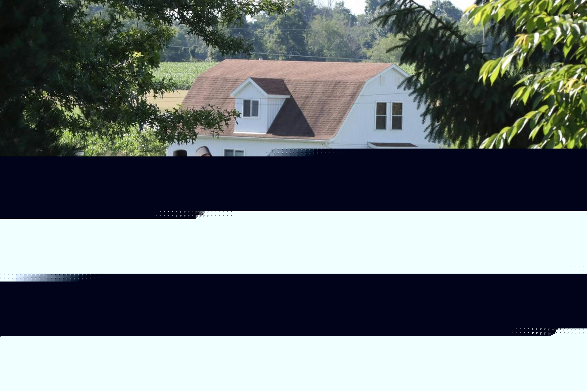 11 Popular Misconceptions About Amish Life in Michigan