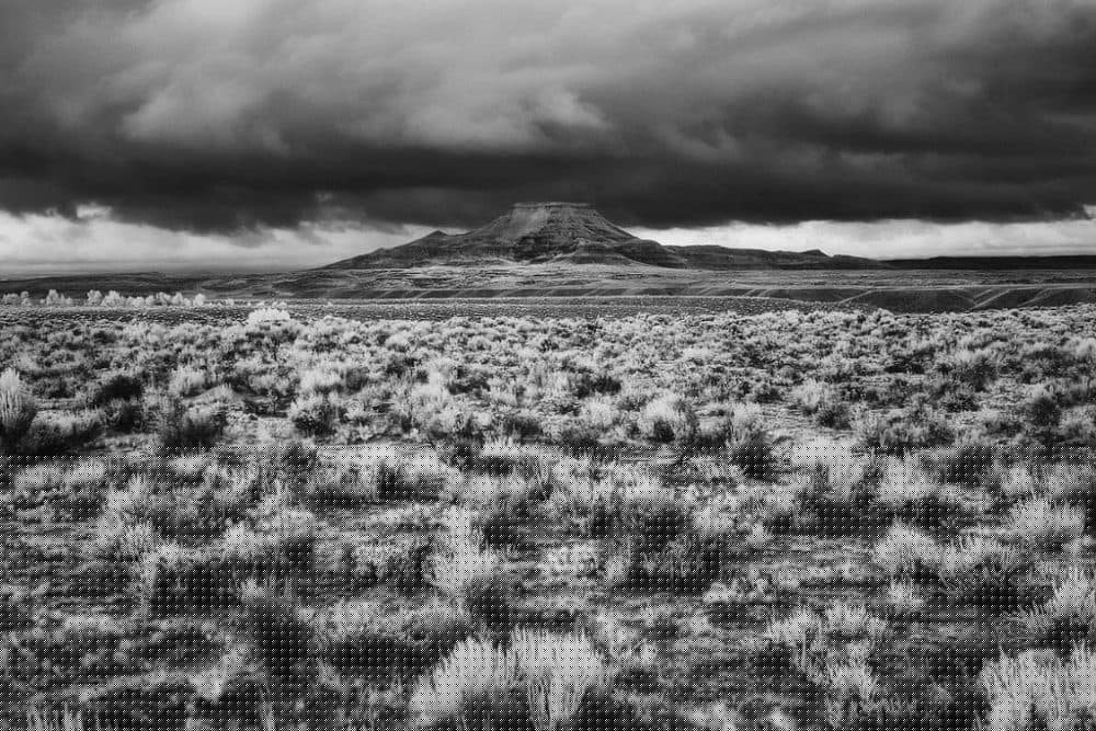 Comment on The battle of Crowheart Butte by Jay Fromkin