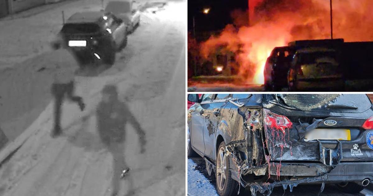 Thugs who sparked fireball blaze and caused chaos in back alley still at large