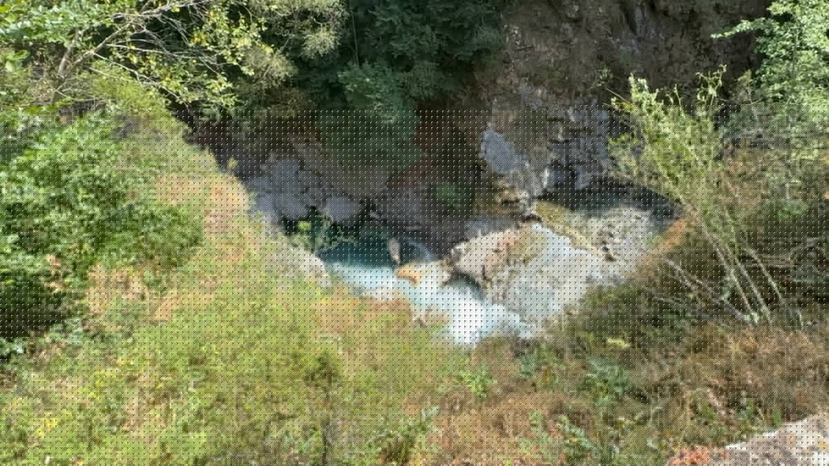 TÉMOIGNAGE. "Ils ont vu des vaches voler" : à Gavarnie, trois vaches précipitées dans le vide après avoir été effrayées par un chien de touriste