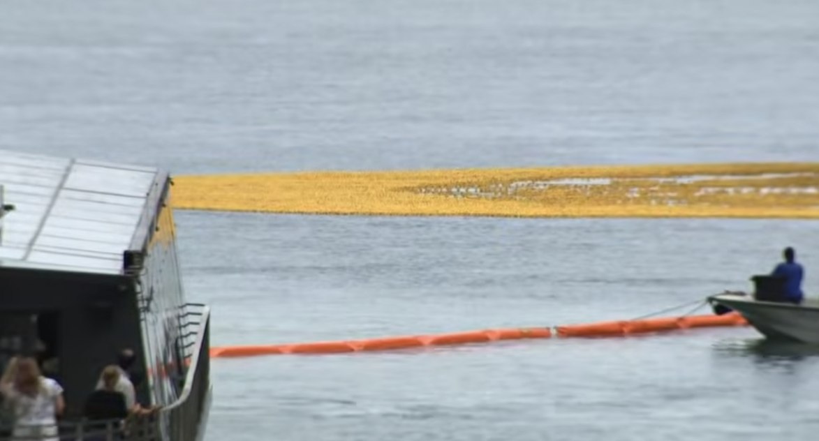 (VIDEO) More Than 90,000 Rubber Ducks Flood Chicago River In Record-Setting Special Olympics Fundraiser