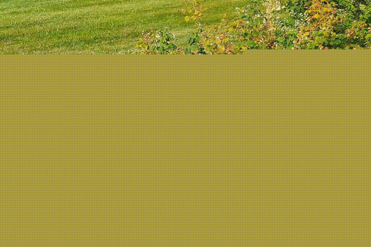THE LAZY BERKSHIRE GARDENER: Week of July 30, 2026