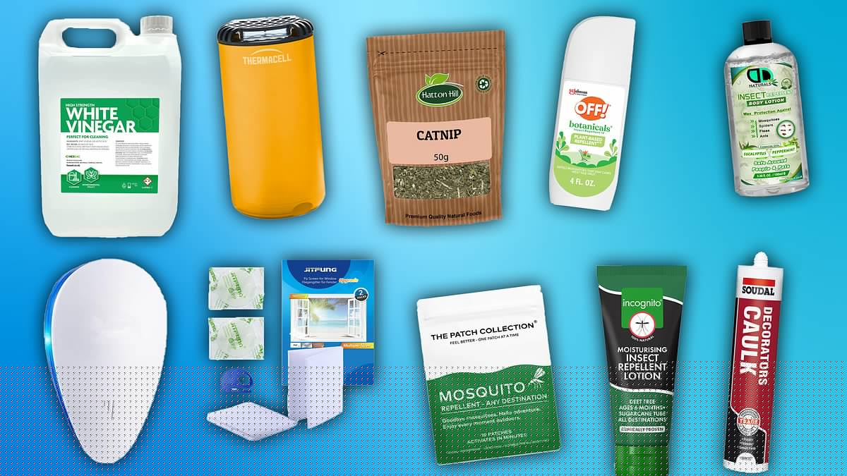 Buzz off! Spray-free hacks for warding off bugs and mosquitos this summer revealed by experts - from quirky gadgets to 'miracle' body oil and herbs