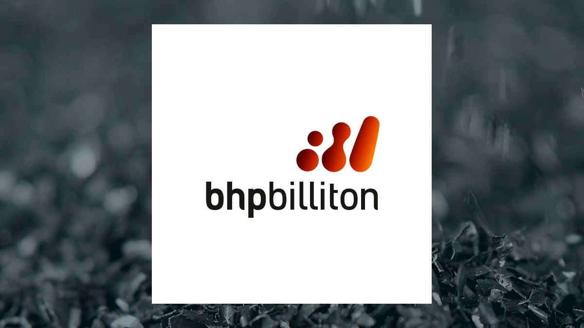 Stock Traders Purchase High Volume of Put Options on BHP Group (NYSE:BHP)