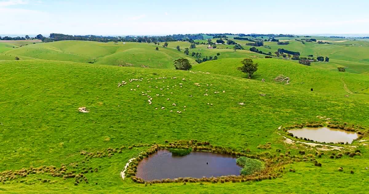 High-rainfall 115ha Mardan farm has been sold in South Gippsland