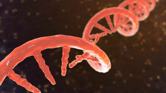 Chinese University Reviewing Gene Editing Research As Family Discloses Daughter's Death