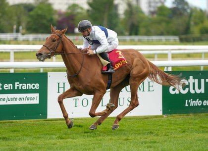 Prix De Royallieu Third Rabbit’s Foot Tops the Arqana Arc Sale at €625,000