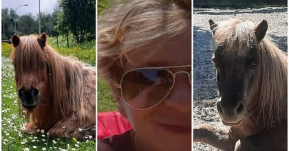 La responsable du Ranch Dolez à Uccle interdite à vie de détenir des animaux : “Un signal fort face à la maltraitance animale”