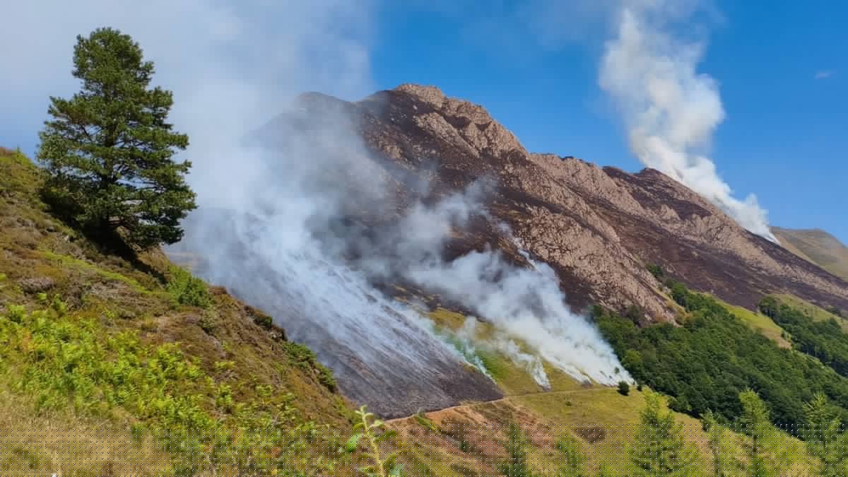 "Les pluies n’ont pas apporté d’aide majeure" : 68 hectares brûlés dans un feu de montagne et plusieurs autres foyers d'incendies encore actifs en Ariège