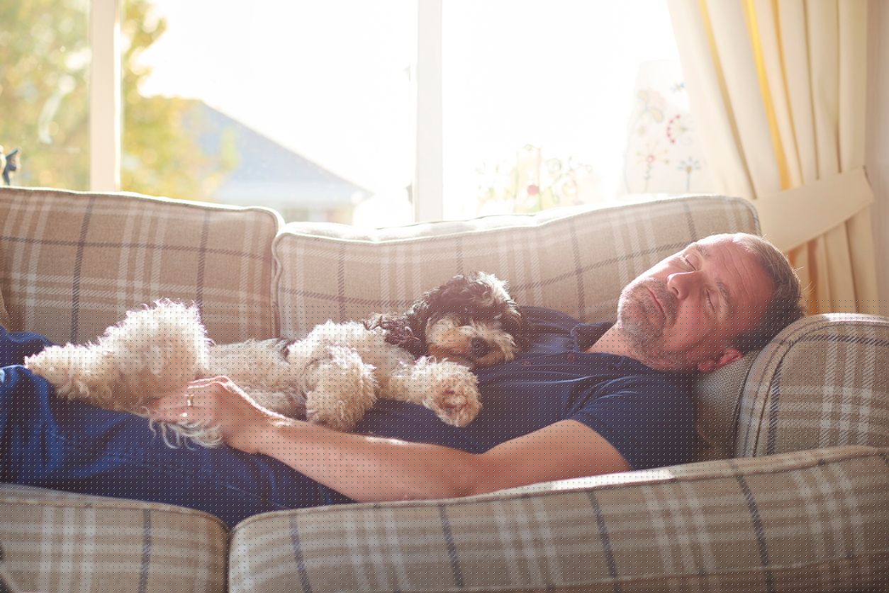 Think sleeping Next To Your Dog Helps You Rest?