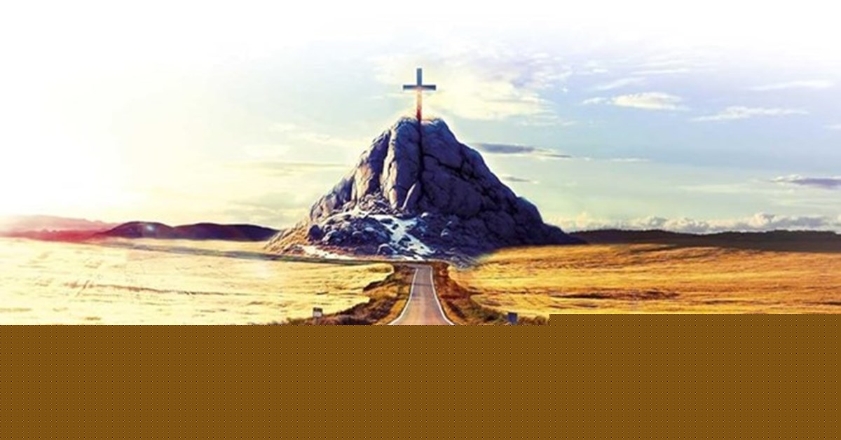 Book review: True Evangelical: The changing face of Anglican Evangelicalism by John Went